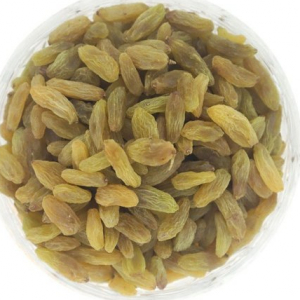 http://www.acinuts.com/intime_images/ACI_122.jpg