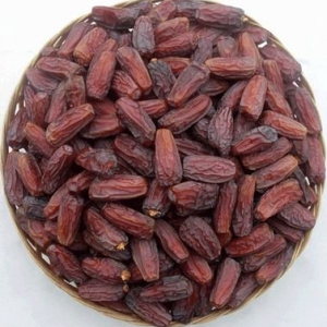 http://www.acinuts.com/intime_images/ACI_20.jpg