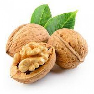 http://www.acinuts.com/intime_images/ACI_90.jpg