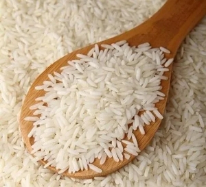 http://www.acinuts.com/intime_images/image-1733934493662.jpg