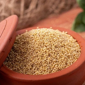 http://www.acinuts.com/intime_images/image-1733938862992.jpg