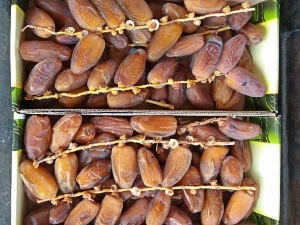 Tunisian - Branched Dates