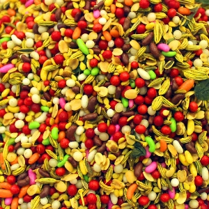 http://www.acinuts.com/intime_images/image-1740126507579.jpg