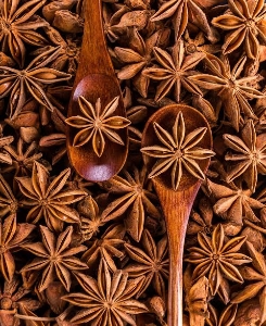 http://www.acinuts.com/intime_images/image-1740147041301.jpg