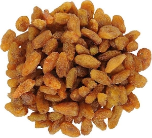 http://www.acinuts.com/intime_images/image-1740148842870.jpg
