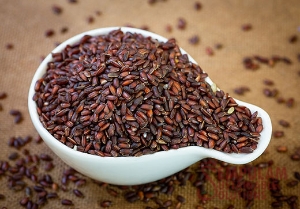 http://www.acinuts.com/intime_images/image-1740159478900.jpg