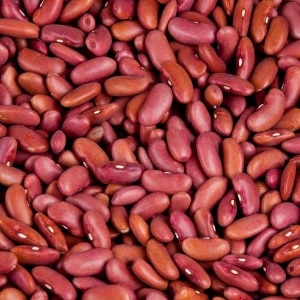 http://www.acinuts.com/intime_images/image-1740199809977.jpg