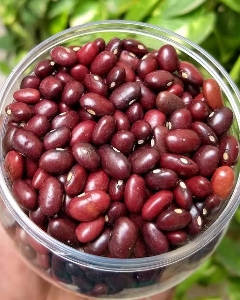 http://www.acinuts.com/intime_images/image-1740199820176.jpg